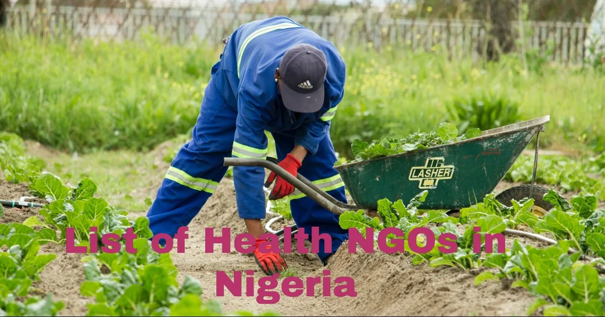 List of Health NGOs in Nigeria