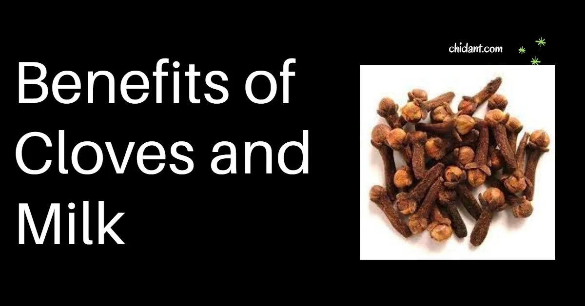 Benefits of Cloves and Milk
