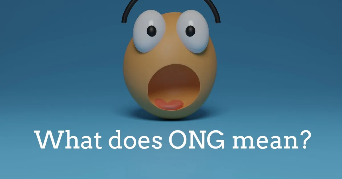 What does ONG mean