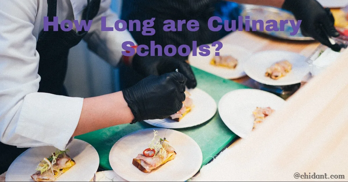 How Long are Culinary Schools? | Complete a Degree at Culinary School –